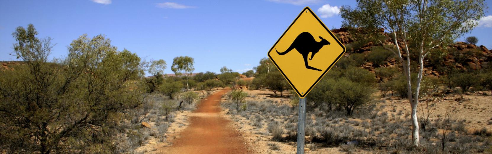 Straße in Australien mit Känguruschild