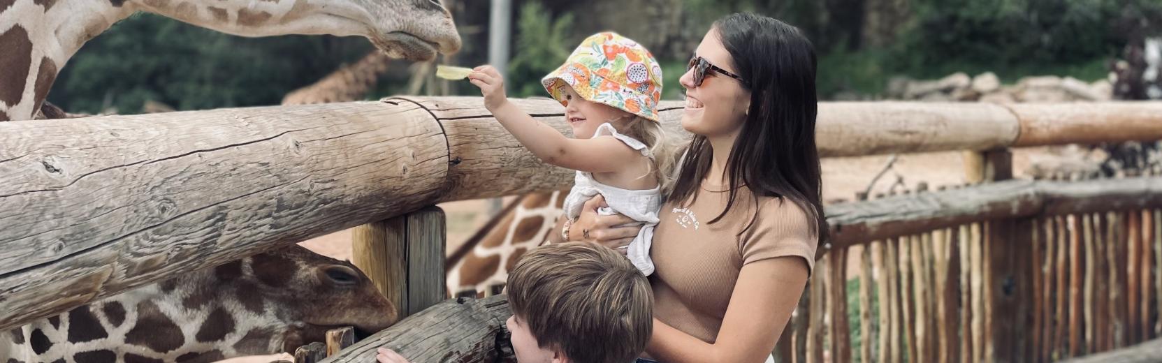 Au pair mit Gastkindern im Zoo füttert Giraffen